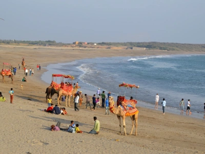 Wildlife and Beach Of Gujarat