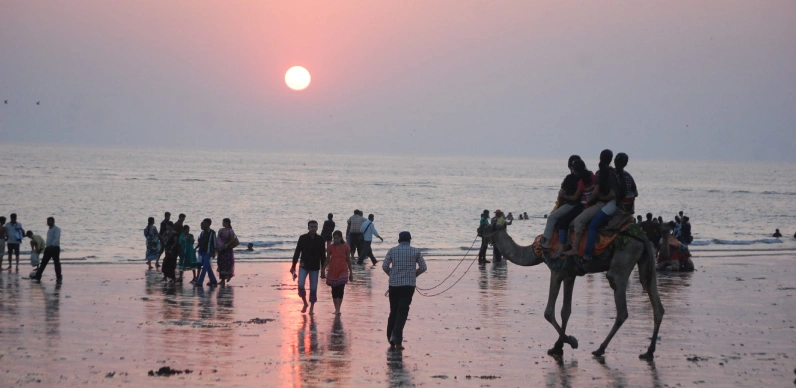 Kutch With Sasan Gir Tour