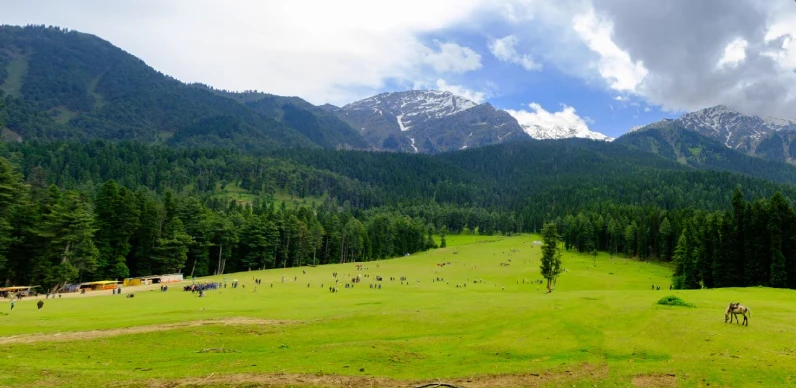 Stunning Kashmir Tour Package