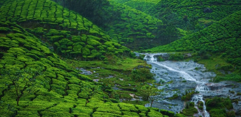Munnar Tour Package