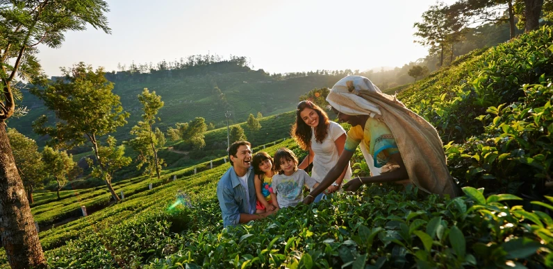 Kerala Family Tour Package