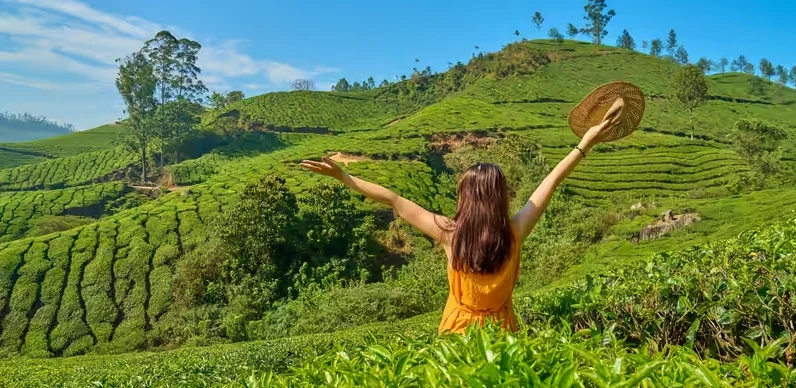 Kerala Family Tour Package