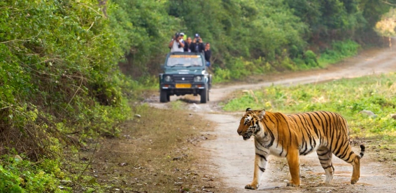 Nainital Jim Corbett Tour Packages